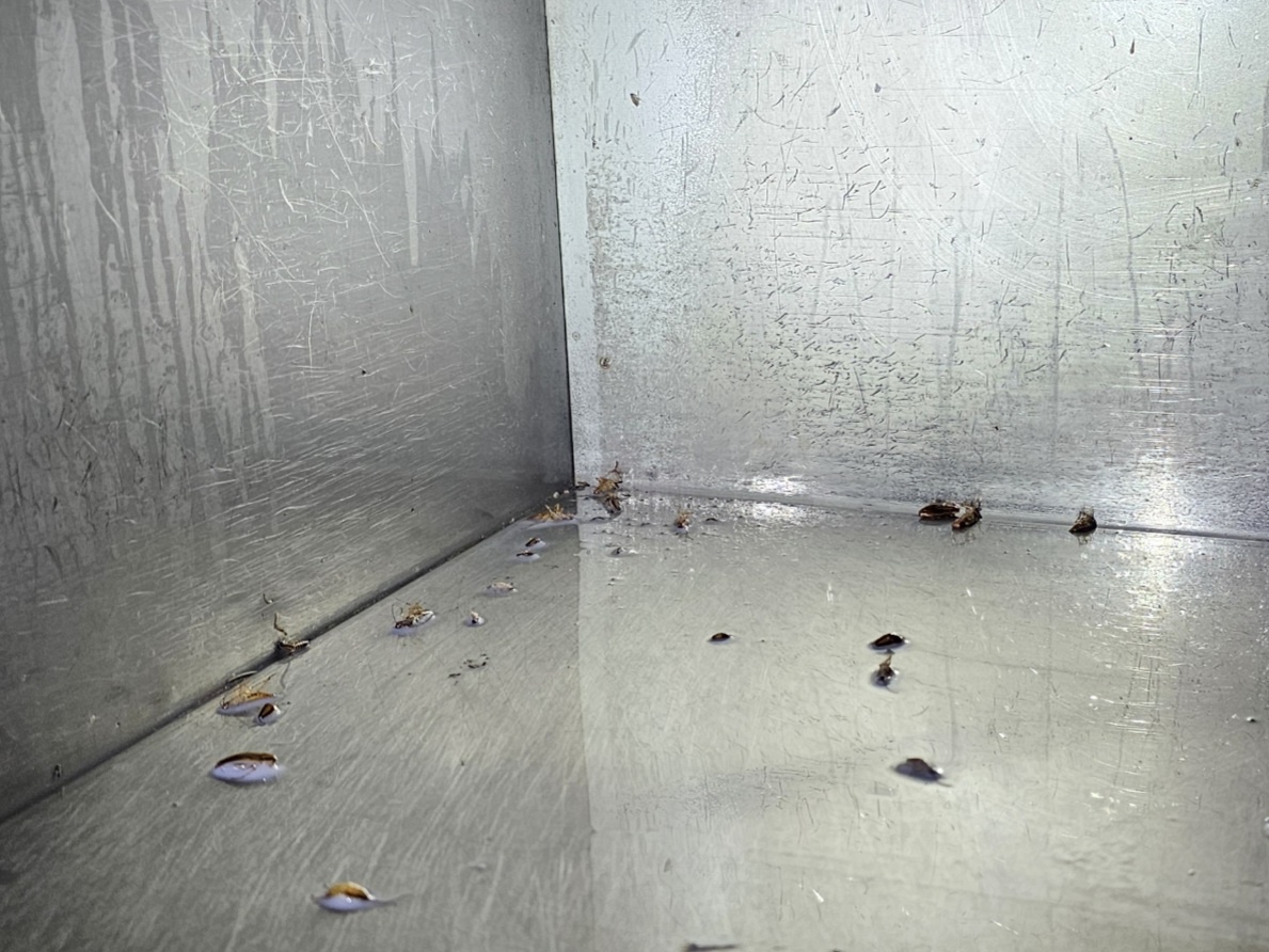 3555379137_i2voqSLh_01d89640b036d41140e3e84bd9e42e2f71bdb2a9.jpg 이미지크게보기